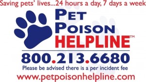 pet-poison-helpline