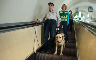 image for Assistance Dog Week